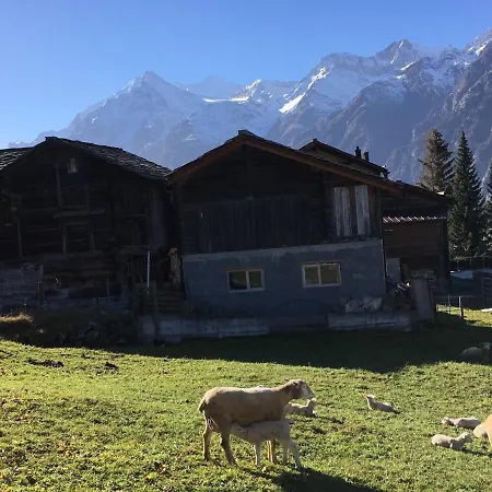 Safran * Grächen