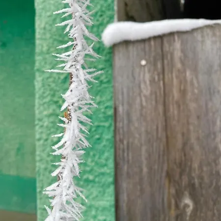 Safran Holiday home Grachen