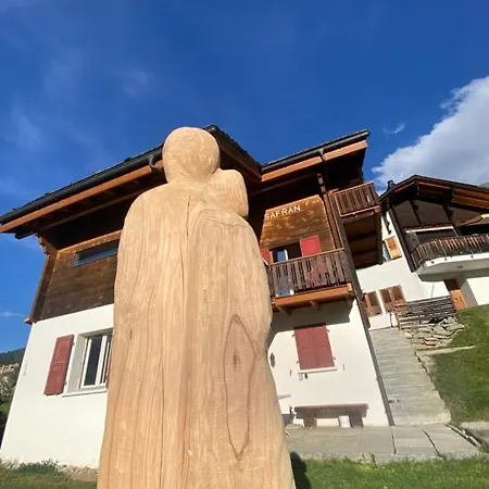 Holiday home Safran Grachen