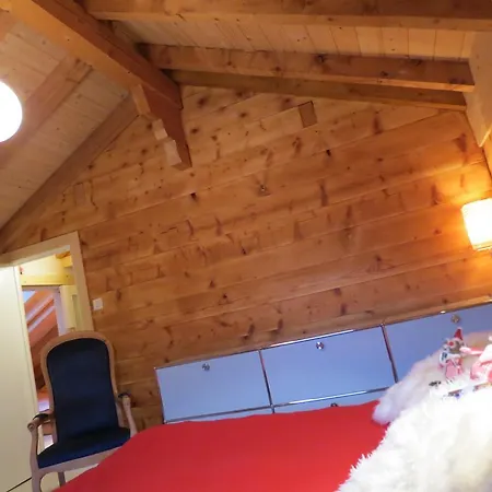 Holiday home Safran Grachen