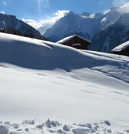 Safran Grächen