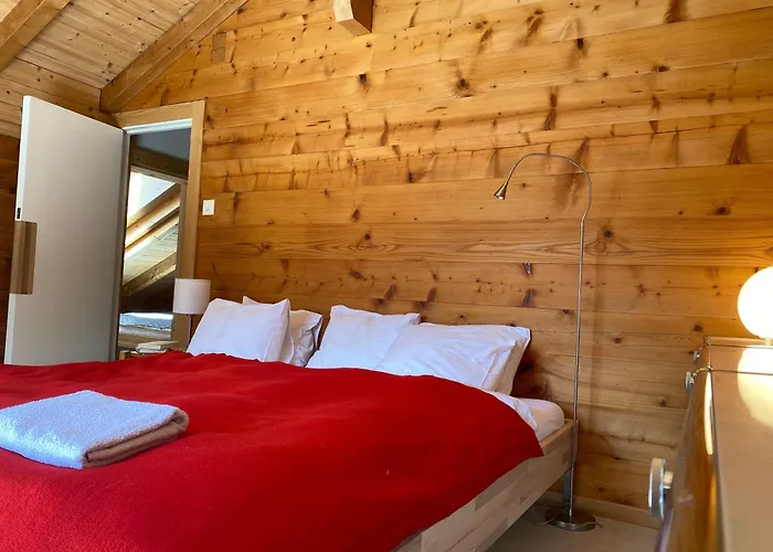 Tatil Evi Safran Grächen