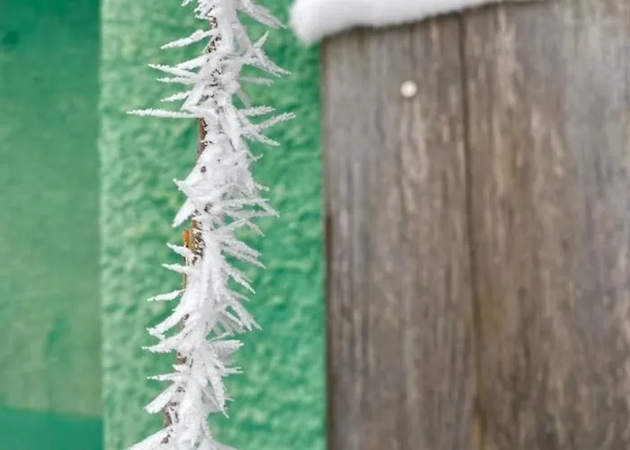 Safran Tatil Evi Grächen
